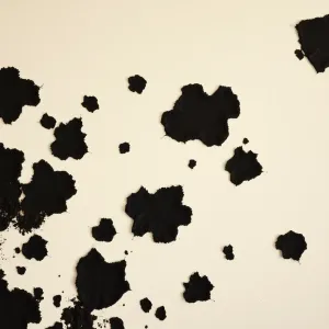 Czarne plamy na płytach gipsowych