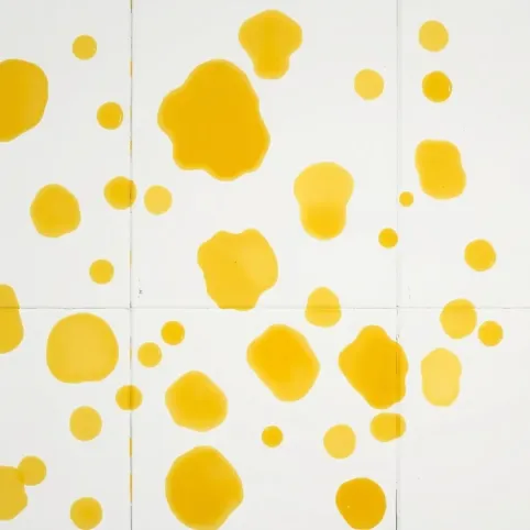 Żółte plamy na płytach gipsowych